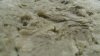 DSC05351.jpg
