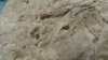 DSC05353.jpg