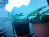 IMG_20130813_145019.jpg