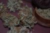 DSC_0026_NEF_shotwell.jpg DSC_0026_NEF_shotwell.jpg
