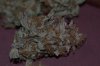 DSC_0034_NEF_shotwell.jpg DSC_0034_NEF_shotwell.jpg