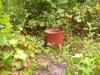 100_2934.jpg