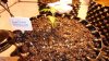 DSC01516.jpg