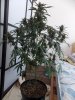 DSCN0463.jpg