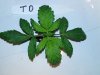 20130816_184956.jpg