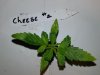 20130816_184422.jpg