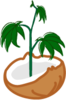 COCO COIR Grower.png
