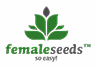 Female Seeds2.png