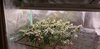 Resized_20211024_160504.jpeg