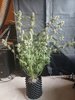 11-14-21_Chop_#3_Pre-Chop_Plant_Untied.jpg