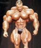 funny_morpher_muscle_men_photos_2-s345x400-322852.jpg