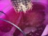 20130816_224042.jpg