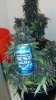 IMG_20130817_154649_971.jpg