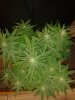 20130819_202741.jpg