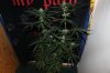 GSC_8-19-13 1.jpg