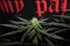 GSC_8-19-13 2.jpg
