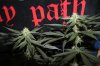 GSC_8-19-13 3.jpg