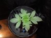 DSCN6109.jpg