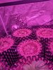 PXL_20211130_231827060.jpg