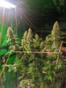 PXL_20211205_190420072.jpg