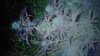 DSC03164.jpg