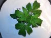 20130820_204505.jpg