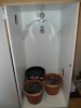 grow 190.jpg grow 190.jpg