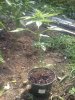 IMG_20130822_110938.jpg