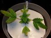 20130823_090446.jpg
