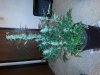 20130823_122546857293959.jpg