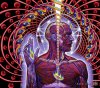 Tool_CD_Cover.jpg