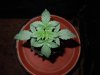 DSCN6169.jpg