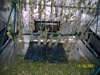 harvest2.JPG