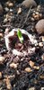 20220108_074416.jpg