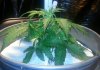 20130824_195214-1.jpg