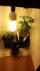 20130826_142400.jpg 20130826_142400.jpg