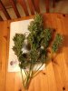 RA harvest (78) ... .jpg