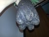20130825_002631-759756842.jpg