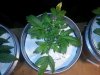 20130826_200705.jpg