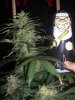 AUTO MOBY DICK & SISSY DISSY_8-27-13 2.jpg