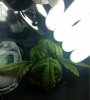 image-420646785.jpg