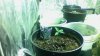 Snapshot_20130828.jpg
