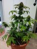 IMG_20220123_135653574.jpg