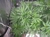 20220120_105450.jpg
