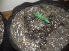 20220201_001030.jpg