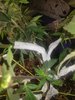 20220205_084801.jpg