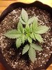 20220207_120819.jpg