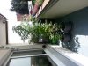 20130829_131654.jpg 20130829_131654.jpg