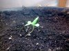 29.08 - 4 days.jpg