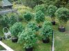 IMG_20130827_190621.jpg